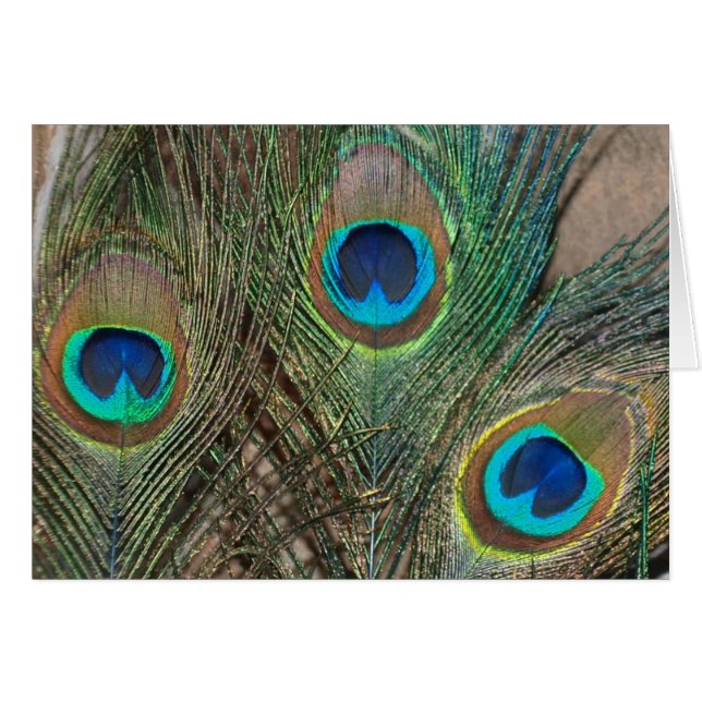 Peacock Feather Bröllop Hälsningskort (Framsidan Horizontal)