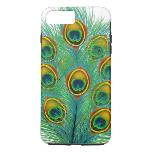 Peacock Feather