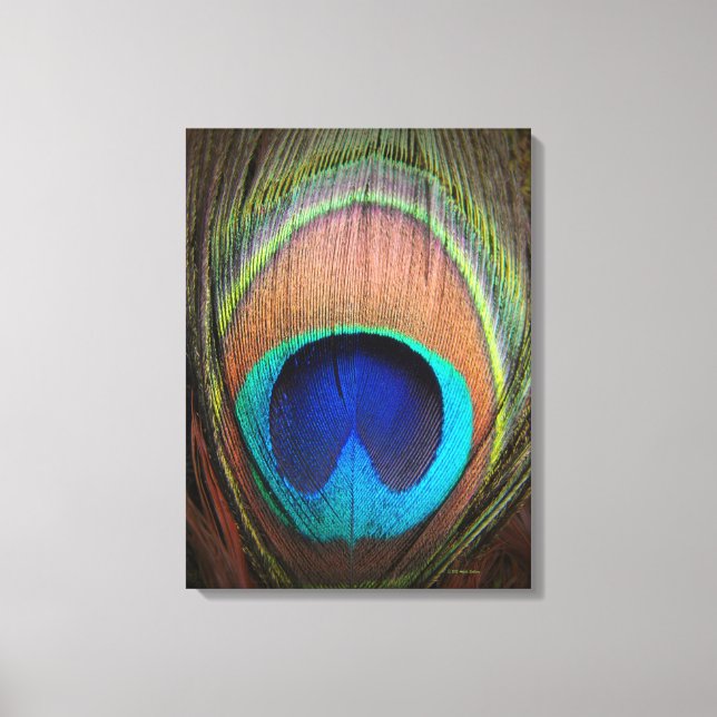 Peacock Feather Detail Decor Art Canvastryck (Framsida)