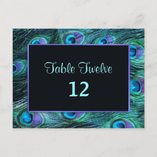 Peacock Feather Drama - Bord-sätesnummer Vykort