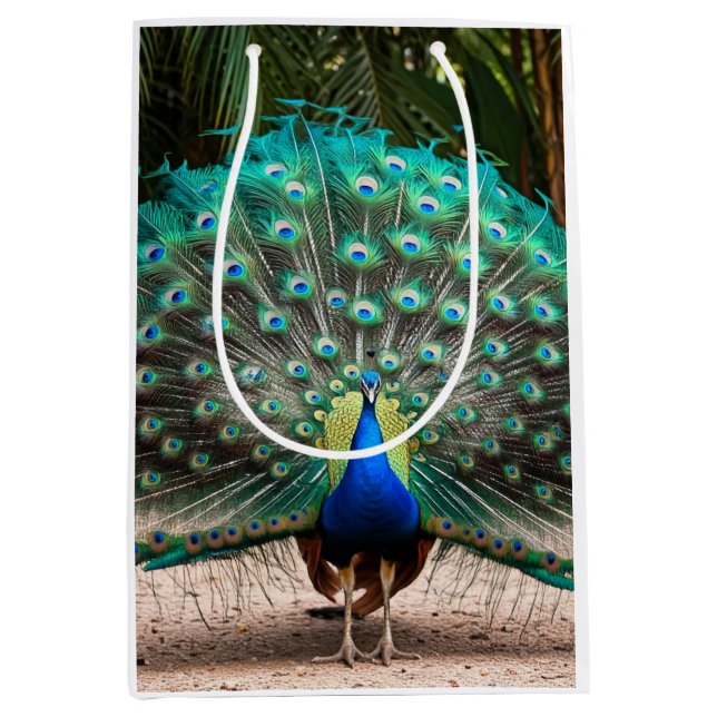 Peacock Feather Fanning (Framsidan)