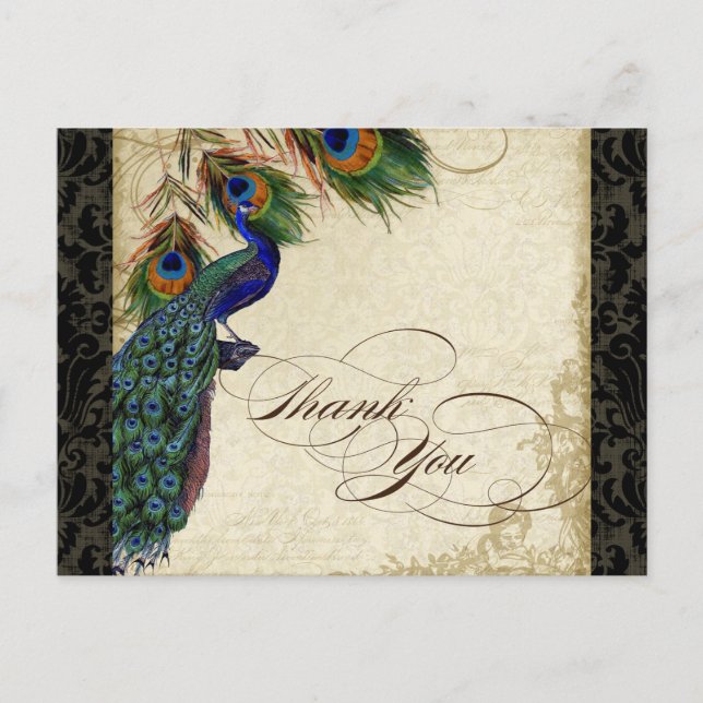 Peacock & Feather Formal Tackkort Black Tan Vykort (Framsida)
