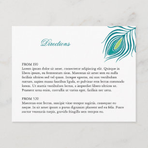 Peacock Feather Infoga Tilläggskort