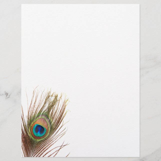 Peacock Feather Letterhead (Framsida)