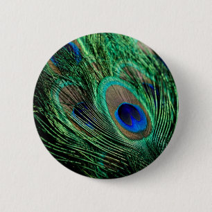 Peacock Feather Lucky Knapp