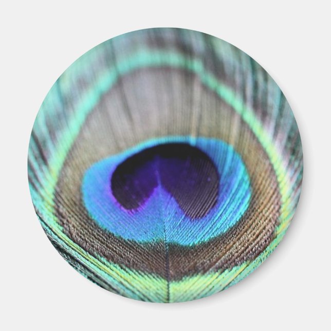 Peacock Feather Magnet (Framsidan)