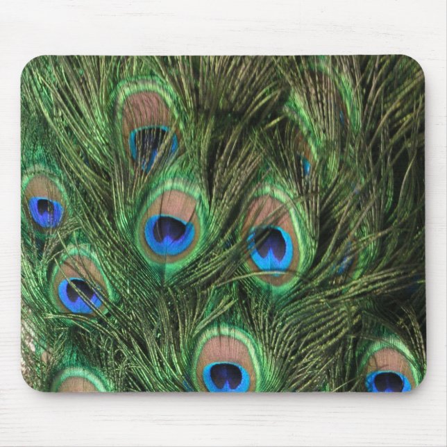Peacock Feather Mouse Pad Musmatta (Framsidan)