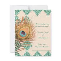 Peacock Feather på Teal Moroccan Tile