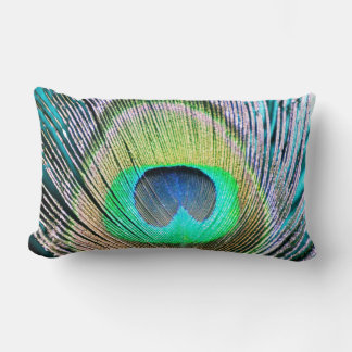 Peacock Feather på Turquise Lumbarkudde