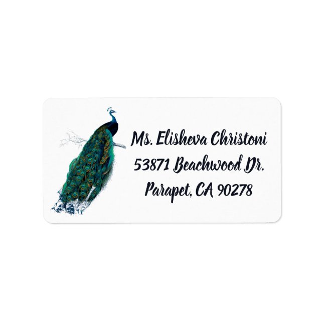 Peacock Feather Peacocks Returetiketter Adressetikett (Framsidan)