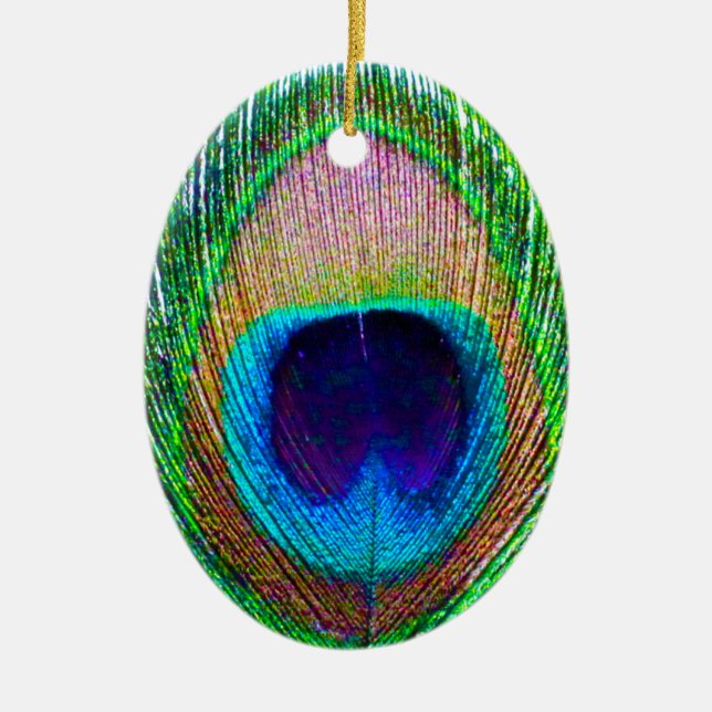 Peacock Feather Photo jul Ornament (Framsidan)