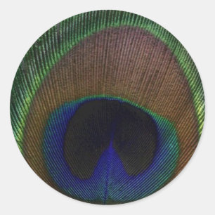 Peacock Feather Runt Klistermärke