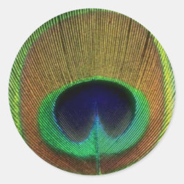 Peacock Feather Sticker Runt Klistermärke