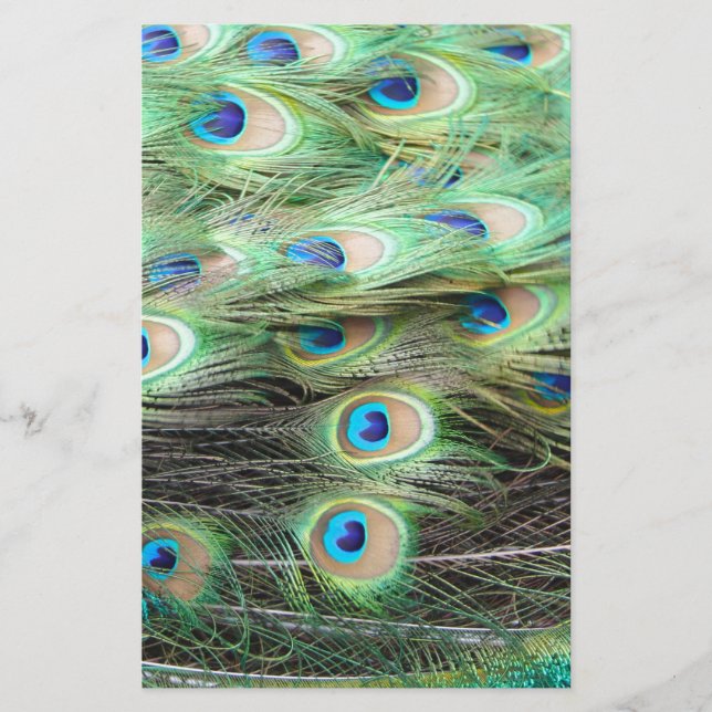 Peacock Feathers (Framsida)