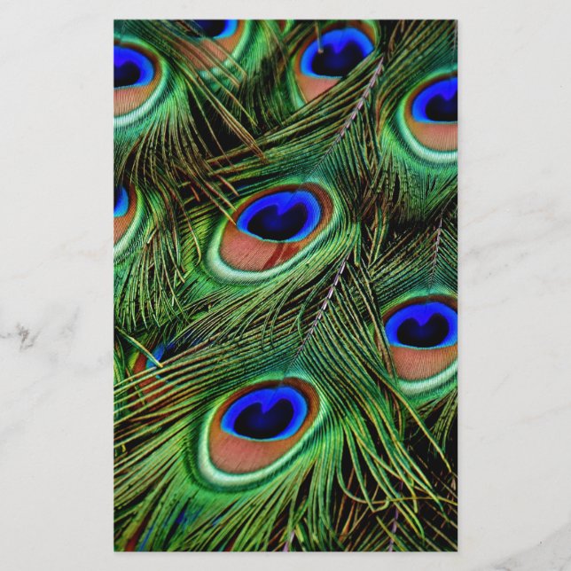 Peacock Feathers (Framsida)