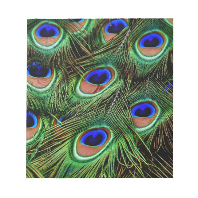 Peacock Feathers Anteckningsblock (Framsida)