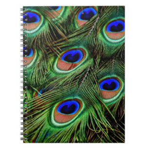 Peacock Feathers Anteckningsbok