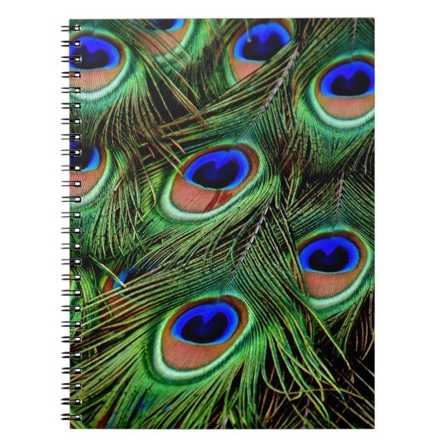 Peacock Feathers Anteckningsbok (Framsidan)