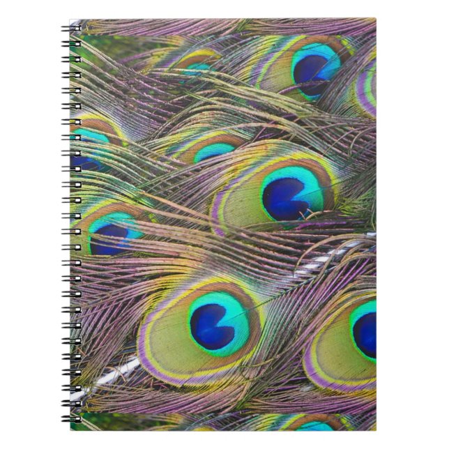 Peacock Feathers Anteckningsbok Med Spiral (Framsidan)