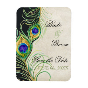 Peacock Feathers Black Damask Save Date Magnet