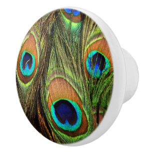 Peacock Feathers Ceramic Knob Knopp