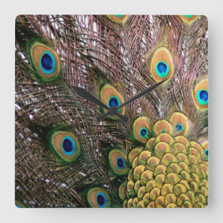 Peacock Feathers Emerald Grönt och Guld Fyrkantig Klocka