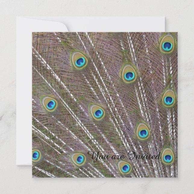 Peacock Feathers Födelsedag Inbjudningar (Framsida)