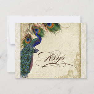 Peacock & Feathers Formal OSA Response Cream Kort