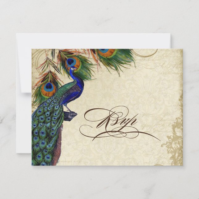 Peacock & Feathers Formal OSA Response Cream Kort (Framsida)