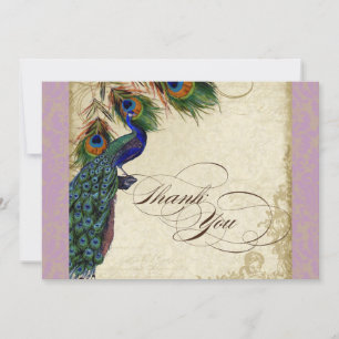 Peacock Feathers Formal Tackkort Lavender Anteckningskort