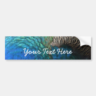 Peacock Feathers I Colorful Abstrakt Nature Design Bildekal