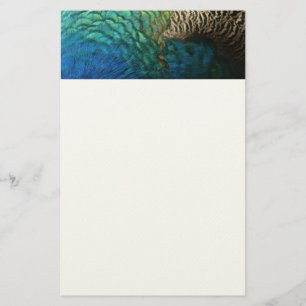 Peacock Feathers I Colorful Abstrakt Nature Design Brevpapper