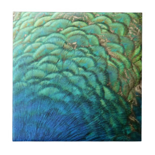 Peacock Feathers I Colorful Abstrakt Nature Design Kakelplatta