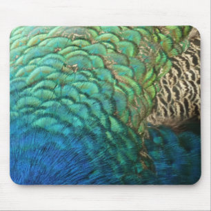 Peacock Feathers I Colorful Abstrakt Nature Design Musmatta