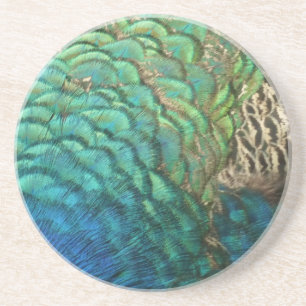 Peacock Feathers I Colorful Abstrakt Nature Design Underlägg Sandsten