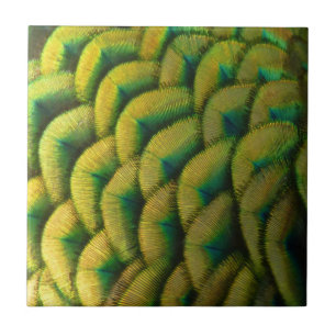 Peacock Feathers II Färgbeskaffenhet Kakelplatta