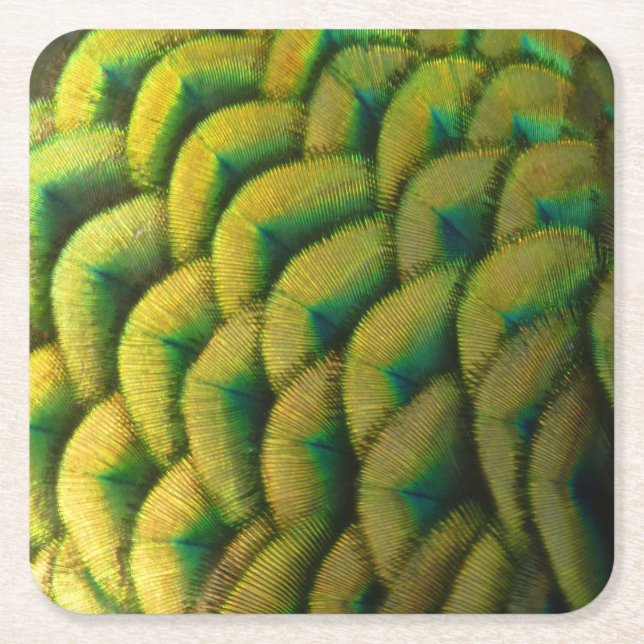 Peacock Feathers II Färgbeskaffenhet Underlägg Papper Kvadrat (Framsidan)