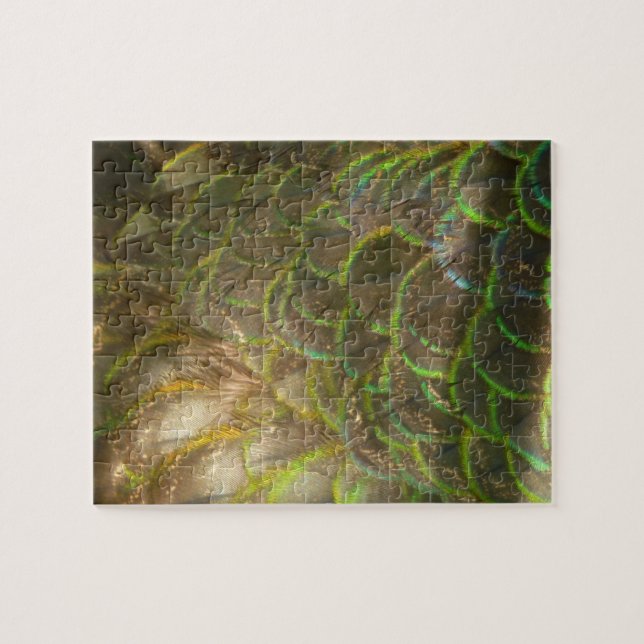 Peacock Feathers III (Female) Subtle Nature Design Pussel (Horisontell)