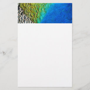 Peacock Feathers IV Colorful Abstrakt Natature Brevpapper
