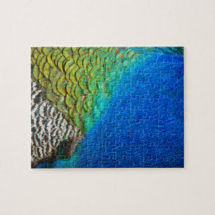 Peacock Feathers IV Colorful Abstrakt Natature Pussel