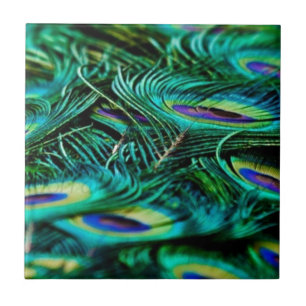 Peacock Feathers Kakelplatta