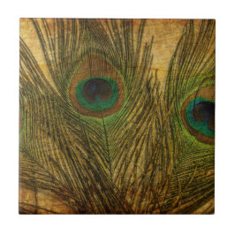 Peacock Feathers Kakelplatta