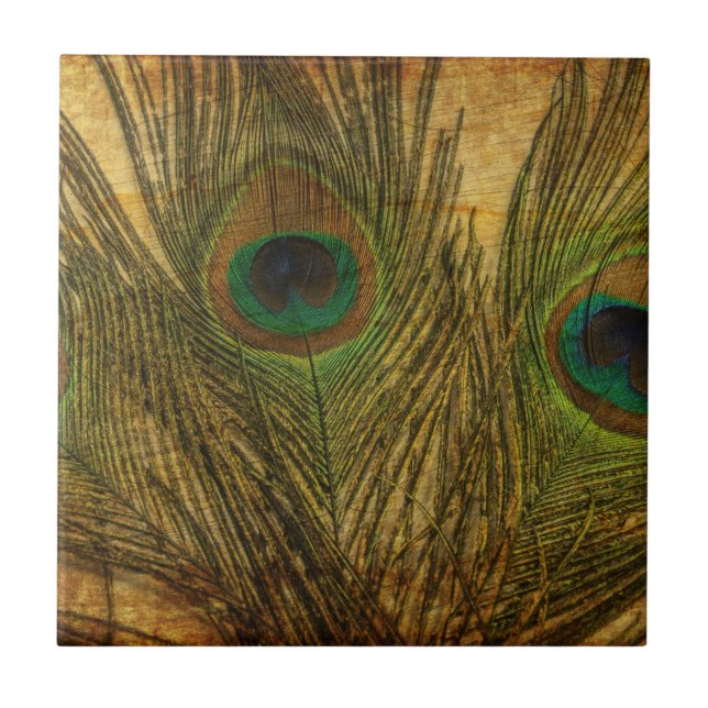 Peacock Feathers Kakelplatta (Framsidan)