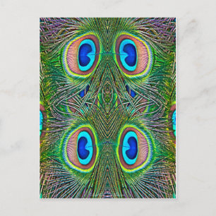 Peacock Feathers Kaleidoscope Skriv ut Vykort