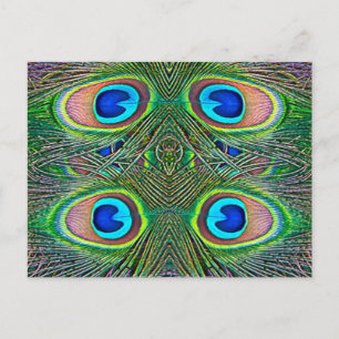 Peacock Feathers Kaleidoscope Skriv ut Vykort