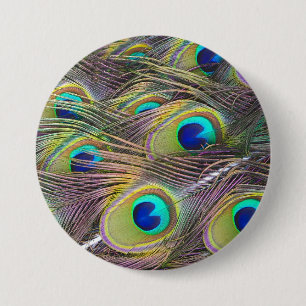 Peacock Feathers Knapp