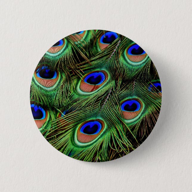 Peacock Feathers Knapp (Framsida)