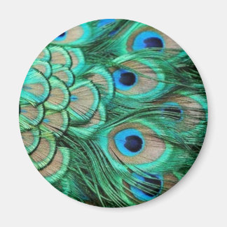 PEACOCK FEATHERS MAGNET
