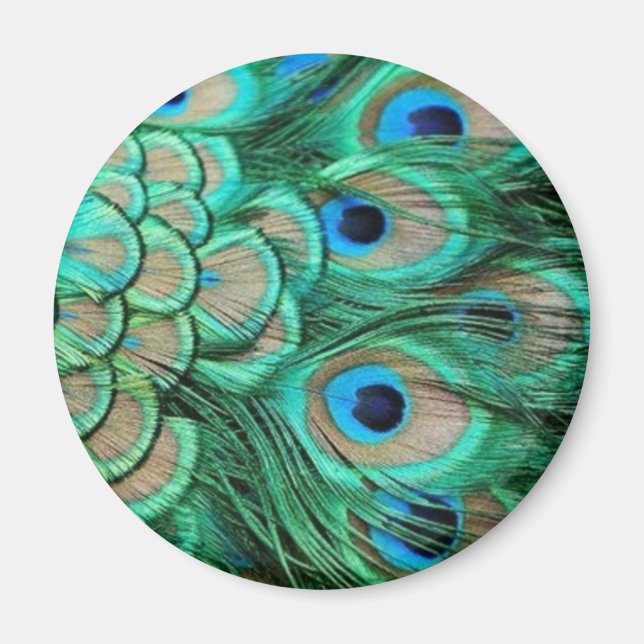 PEACOCK FEATHERS MAGNET (Framsidan)