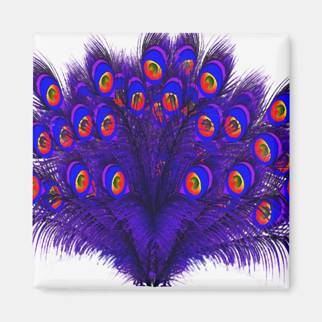 Peacock Feathers Magnet (Framsidan)